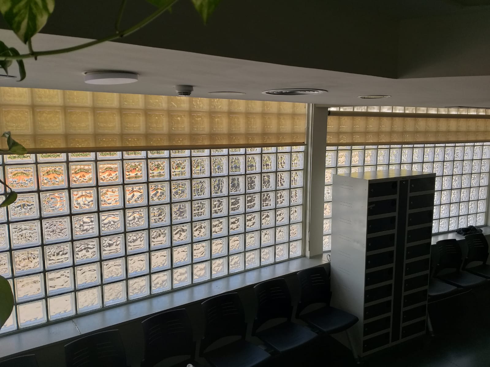 Limpieza de Screens en edificio público, zona Horta