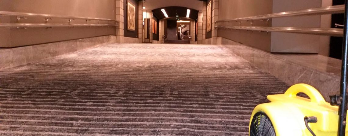 Limpieza en profundidad de gran zona enmoquetada en Hotel Arts de Barcelona