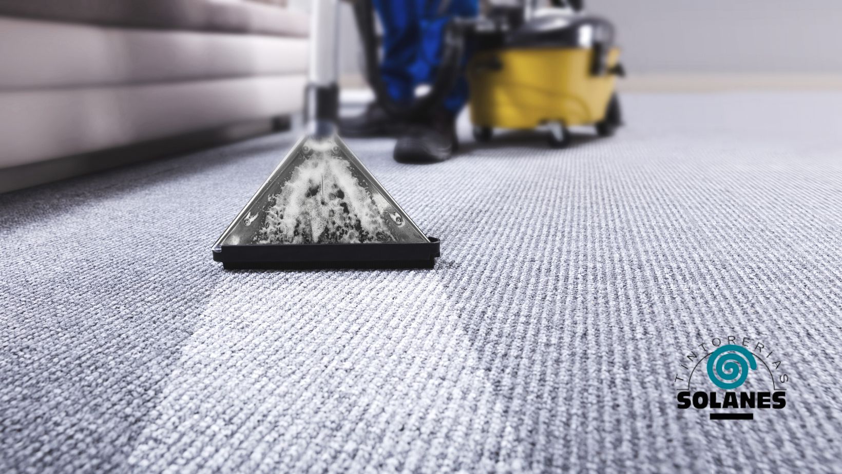 limpieza de alfombras
