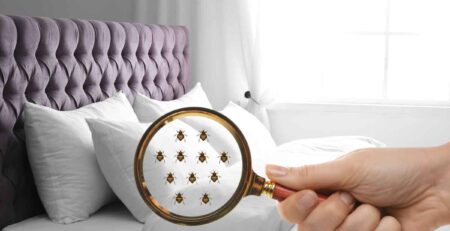 cómo eliminar las chinches de la cama